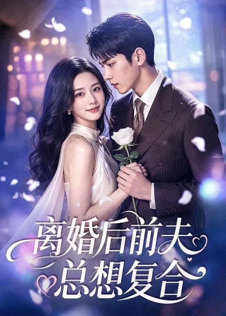 离婚后前夫总想复合海报