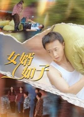 女婿如子海报